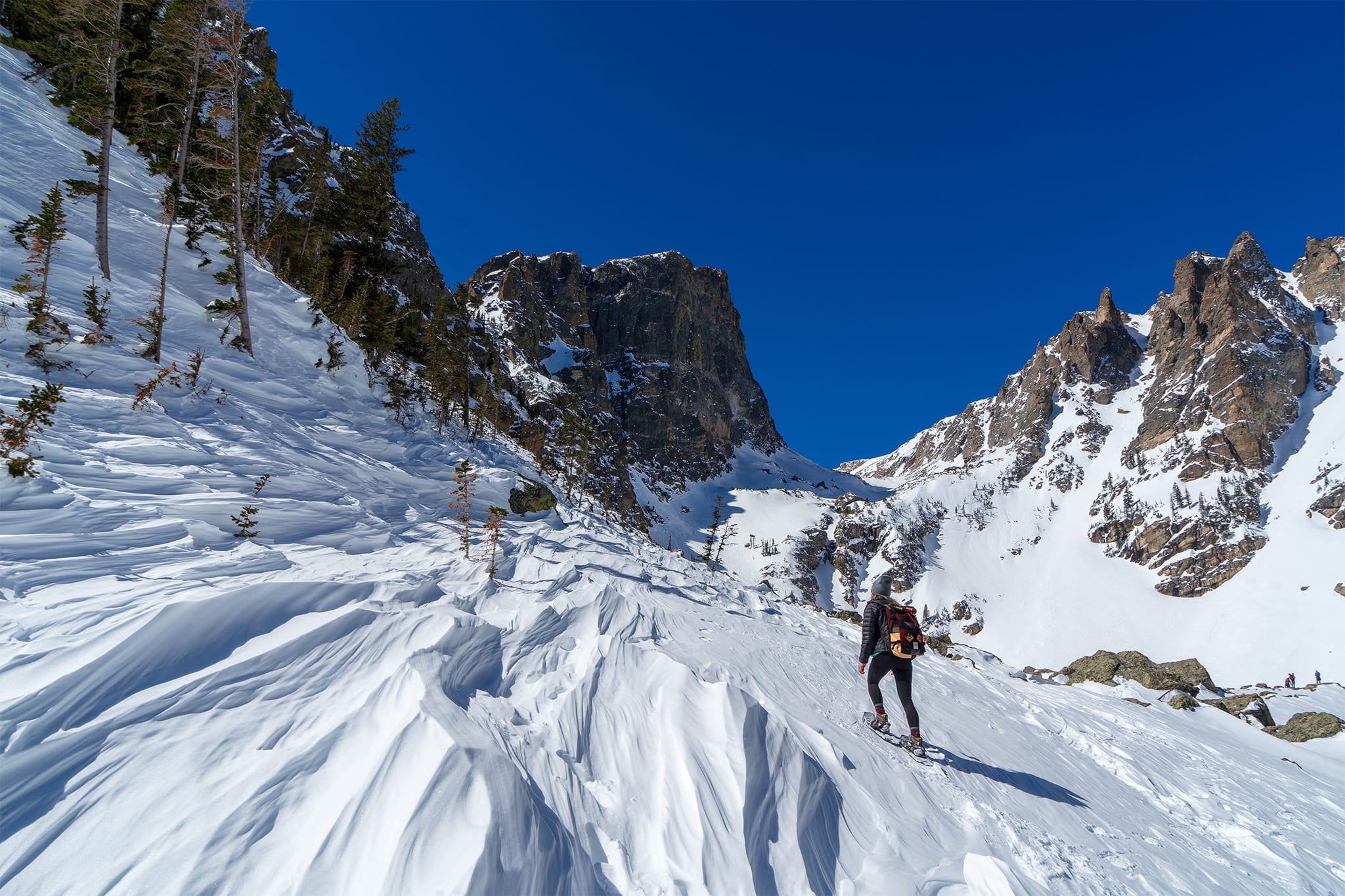 Snowshoe Adventure, Rocky Mountain National Park 1 Day United